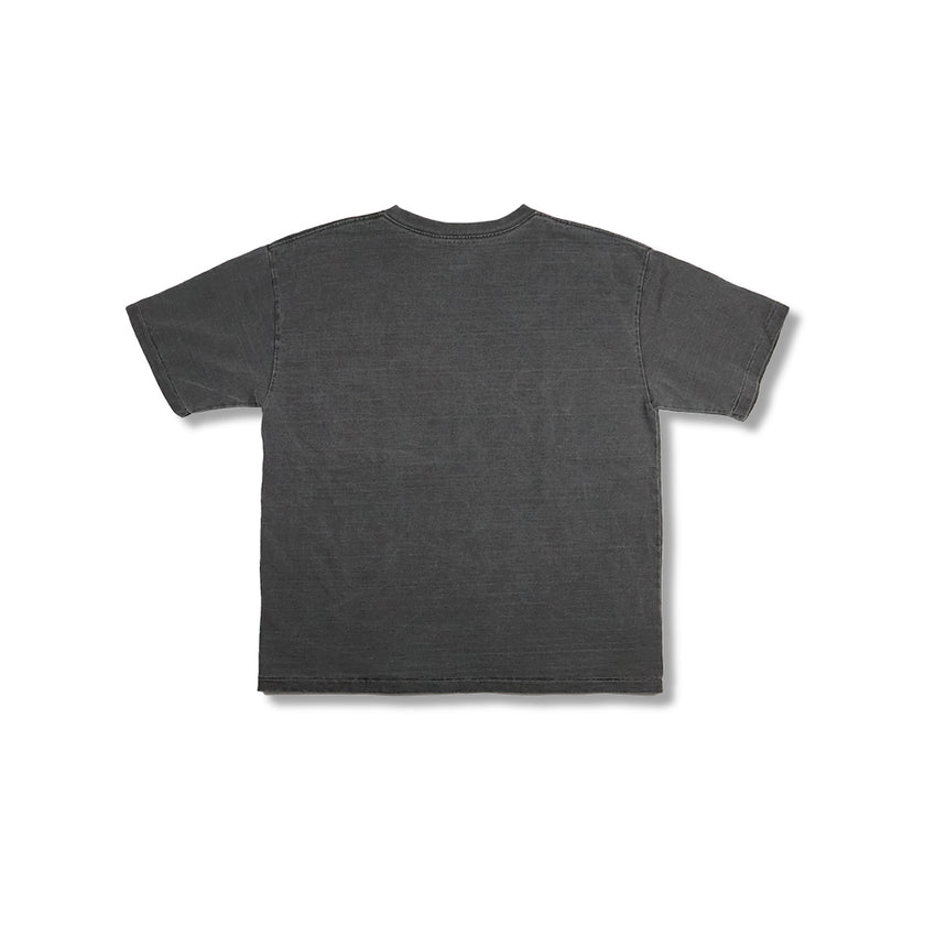 【2026SS】5504-5 Print T “Hiram College” VE (Vintage Effect)