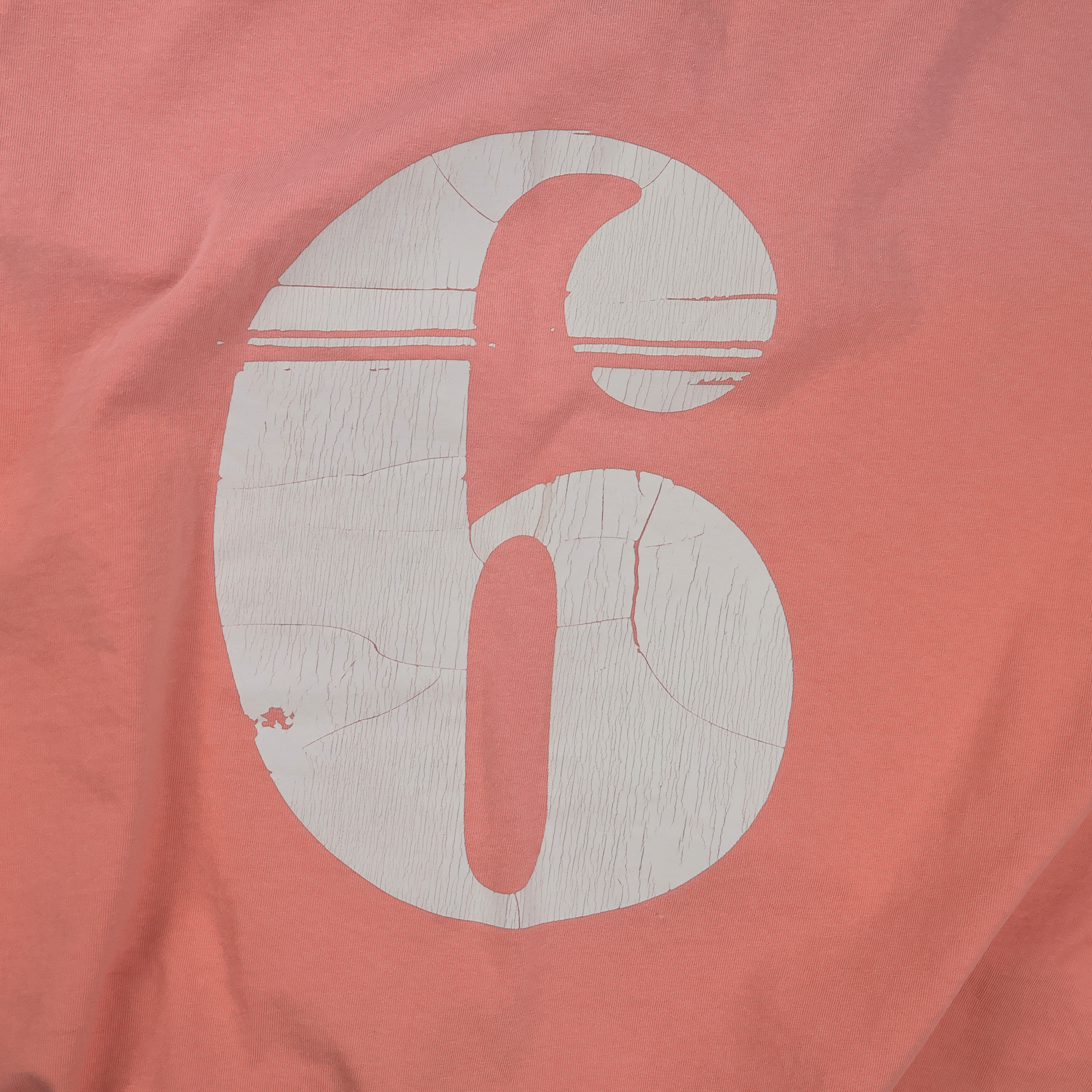 【2027SS】5507-1　Print T 6
